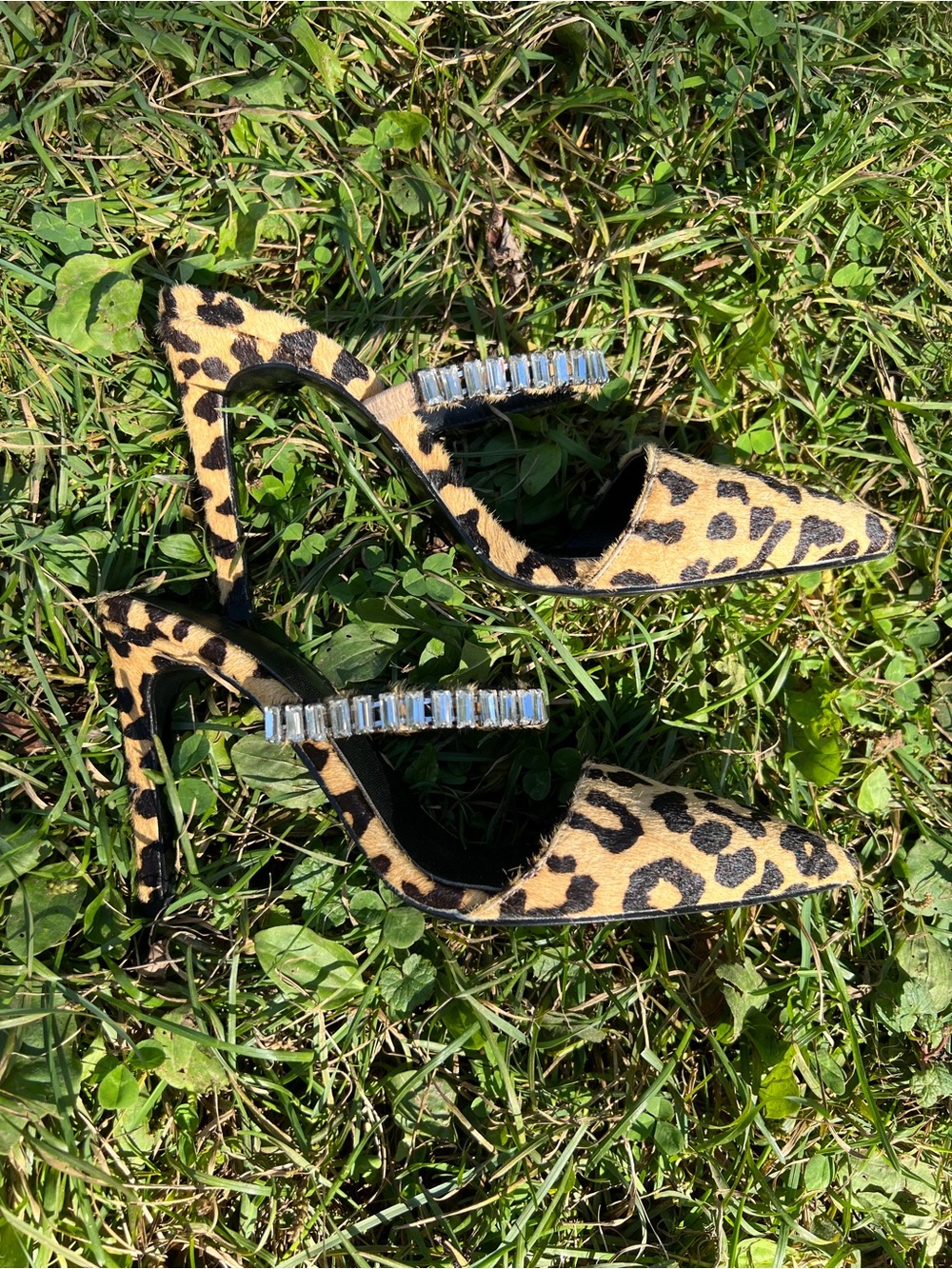 LPA Lex Heel in Leopard Print with Crystal Strap